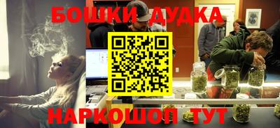 шишки Изобильный