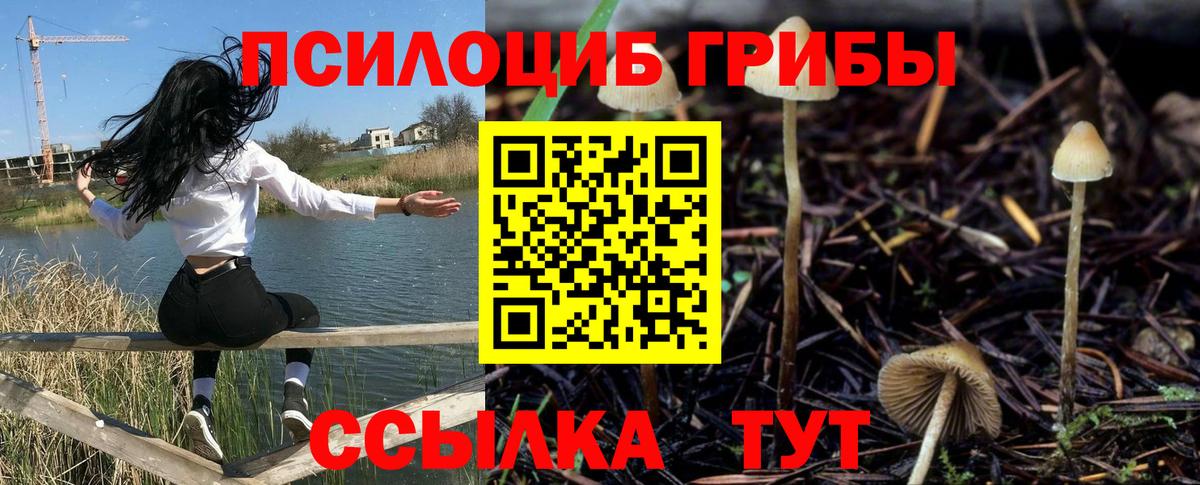 Псилоцибиновые грибы Psilocybine cubensis  Галлюциногенные грибы прущие грибы  Вход с VPN  Чапаевск 